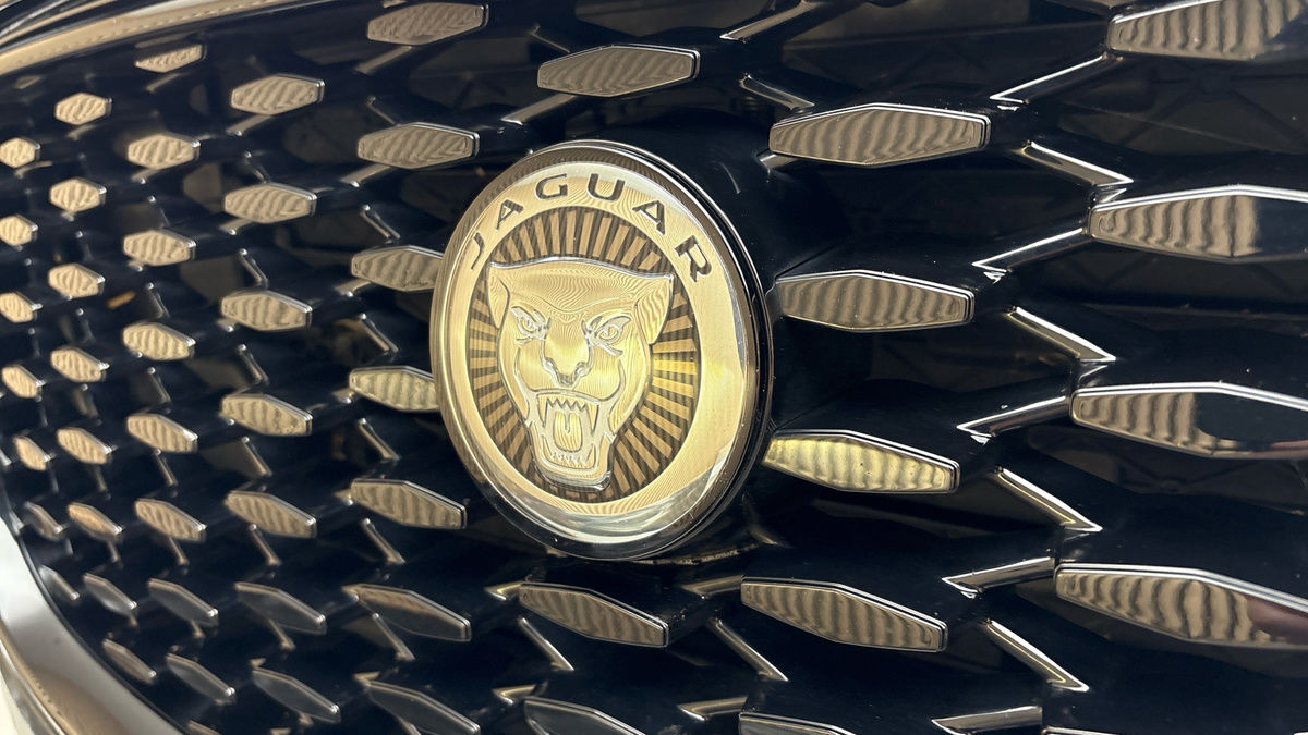Jaguar F-PACE Image 24