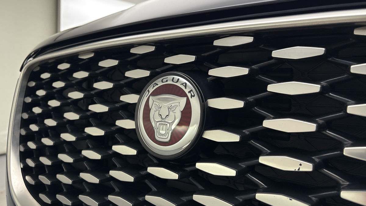 Jaguar F-PACE Image 18