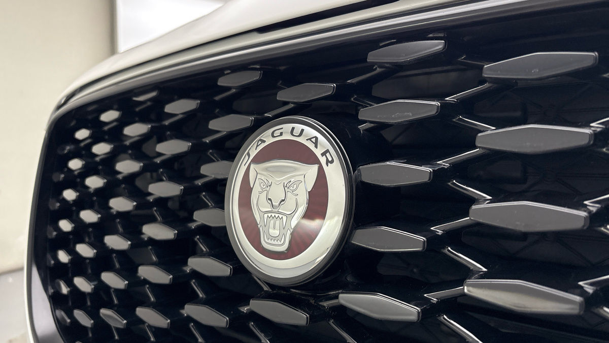 Jaguar F-PACE Image 19