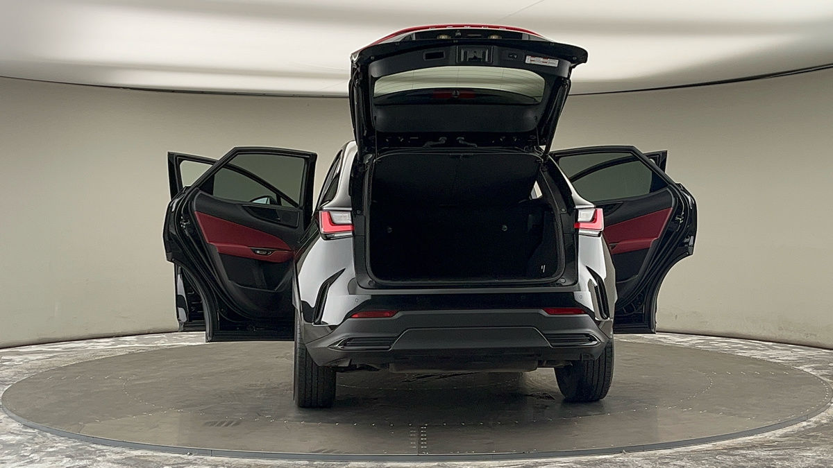More views of Lexus NX