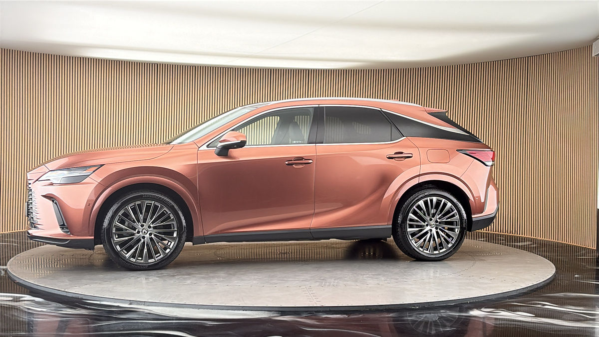 More views of Lexus RX