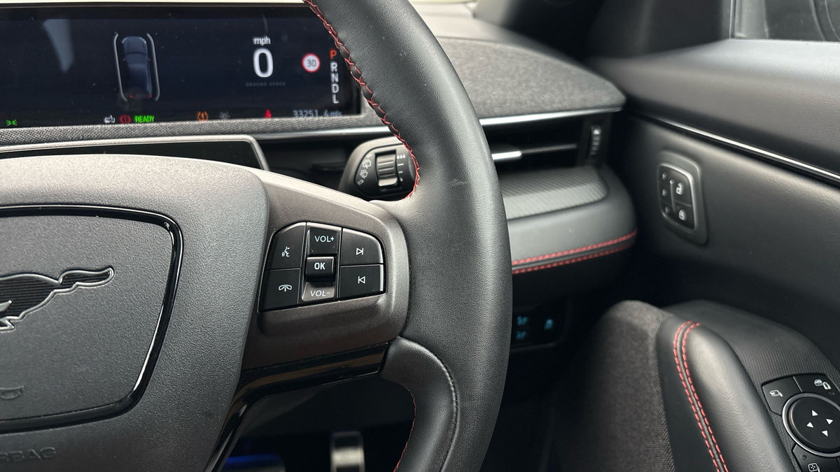 Ford Mustang Mach-E Image 14