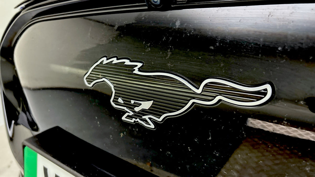 Ford Mustang Mach-E Image 24