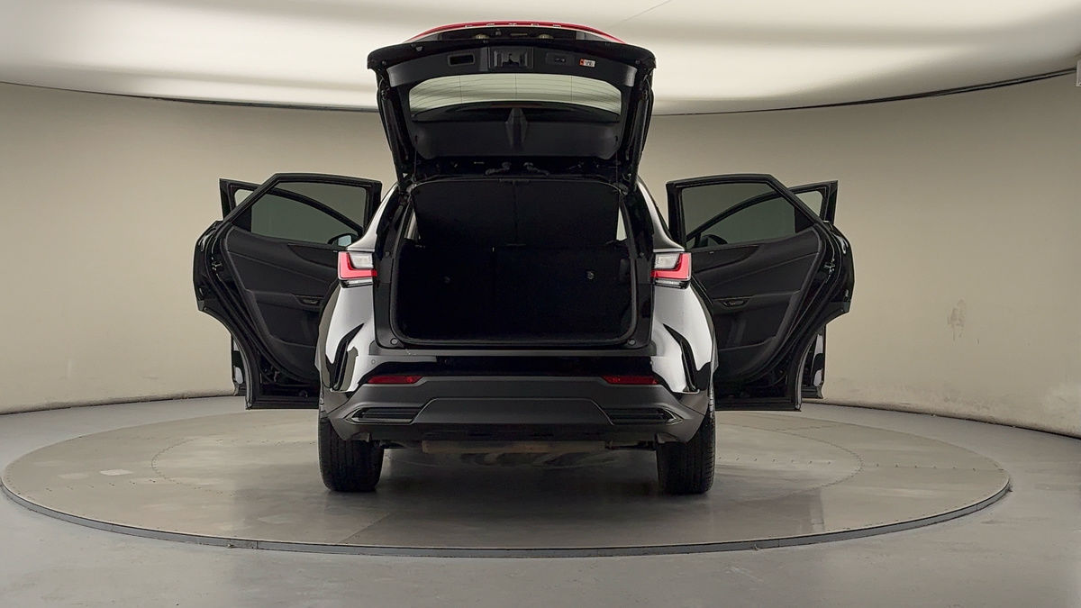 More views of Lexus NX