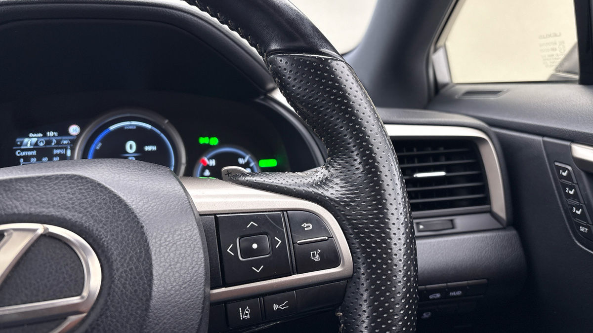 Lexus RX Image 14