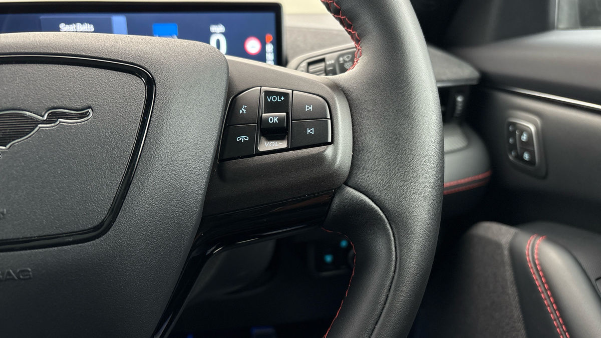 Ford Mustang Mach-E Image 15