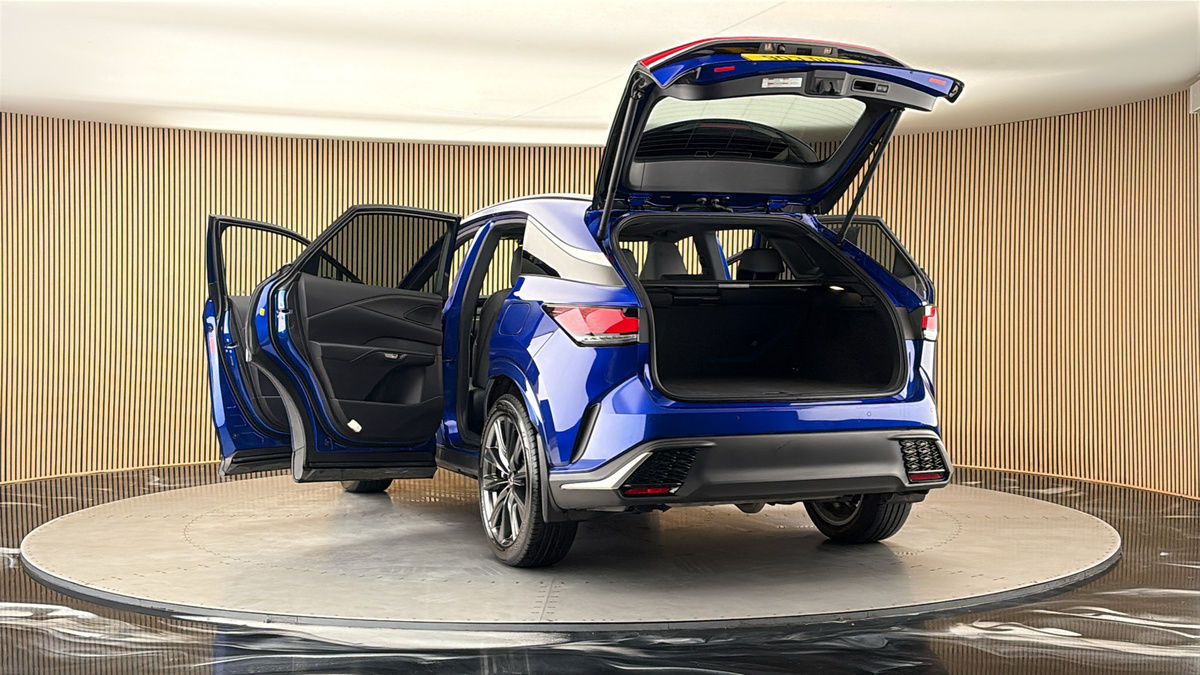 More views of Lexus RX