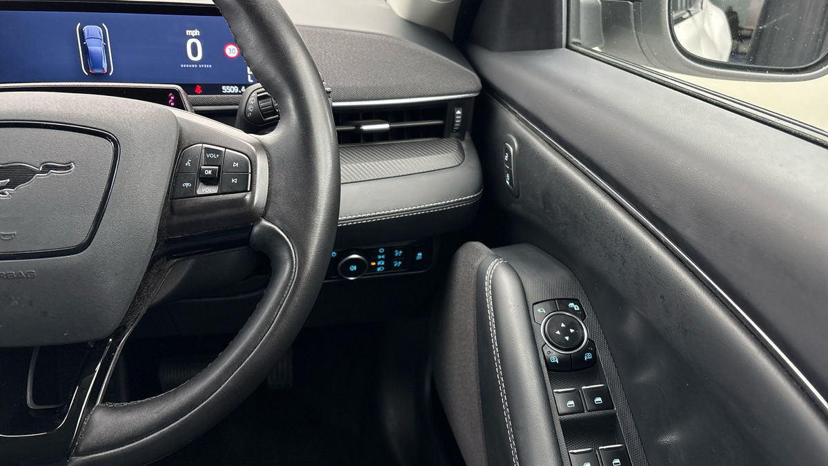 Ford Mustang Mach-E Image 15