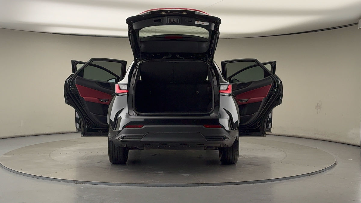 More views of Lexus NX