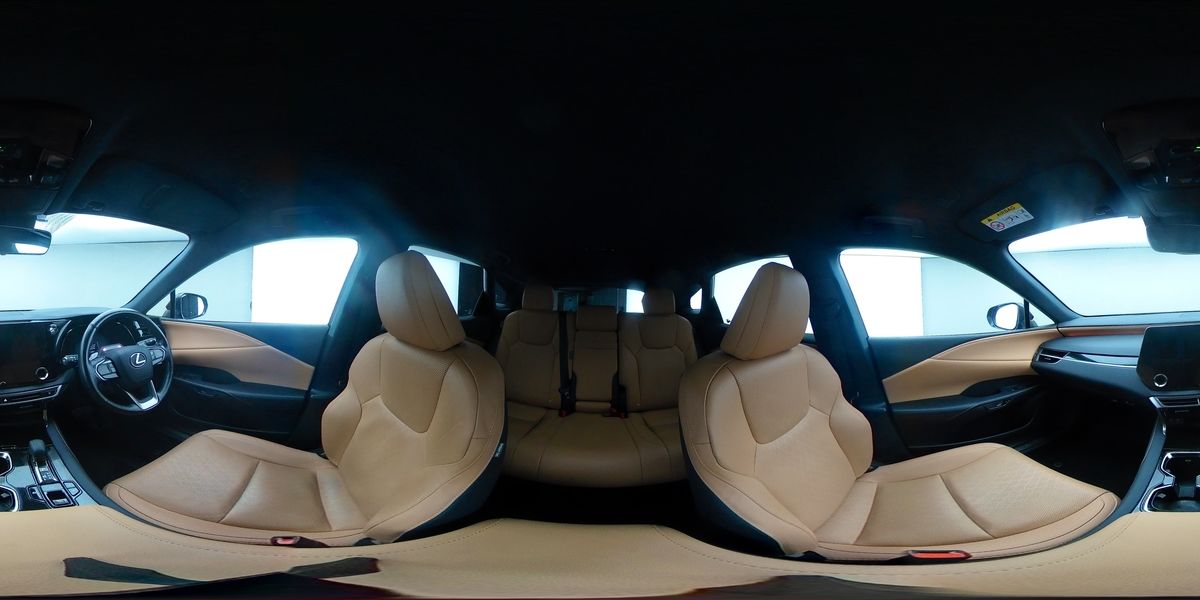 More views of Lexus RX