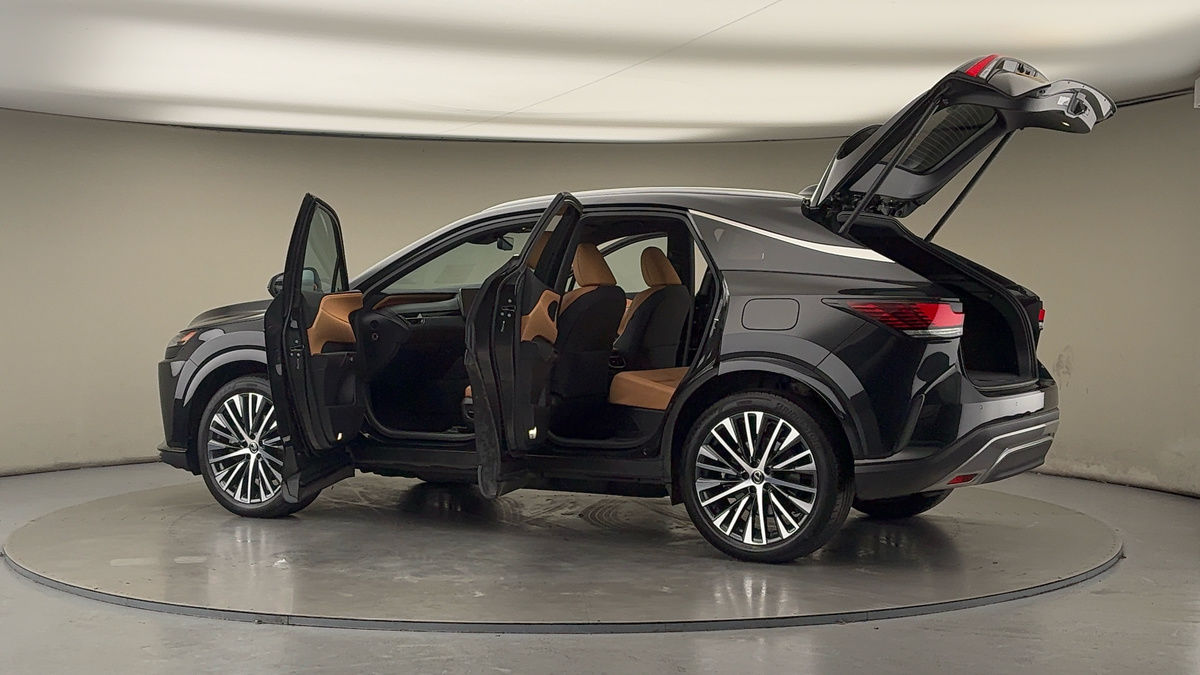 More views of Lexus RX