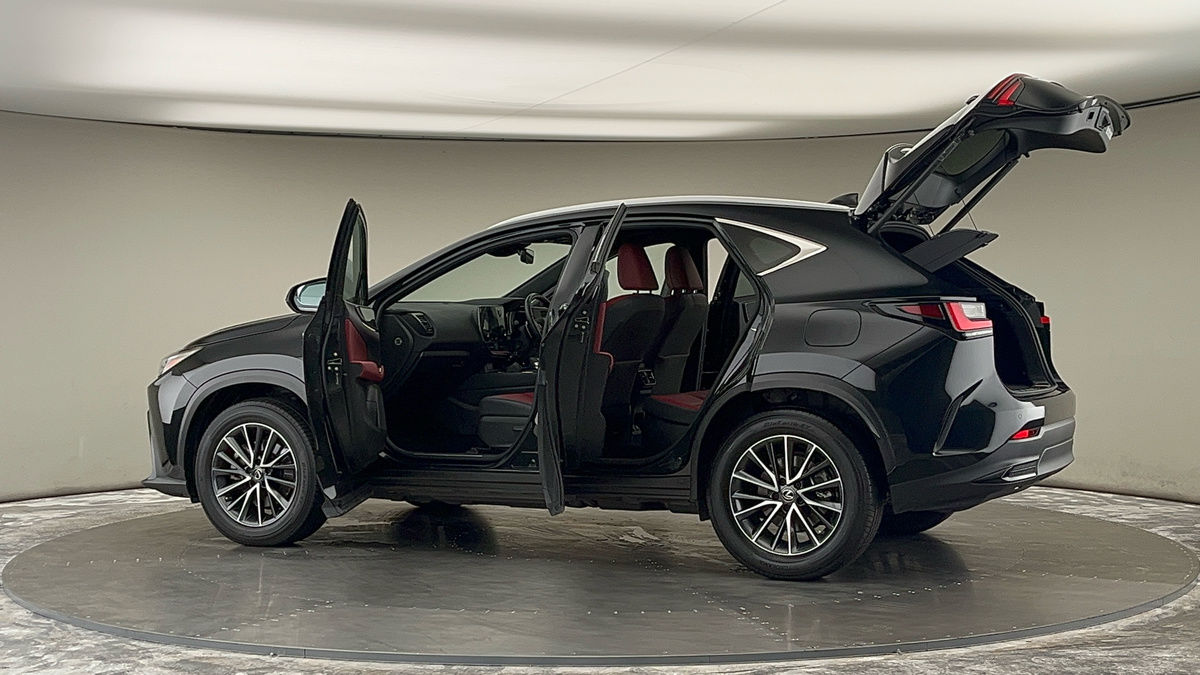 More views of Lexus NX