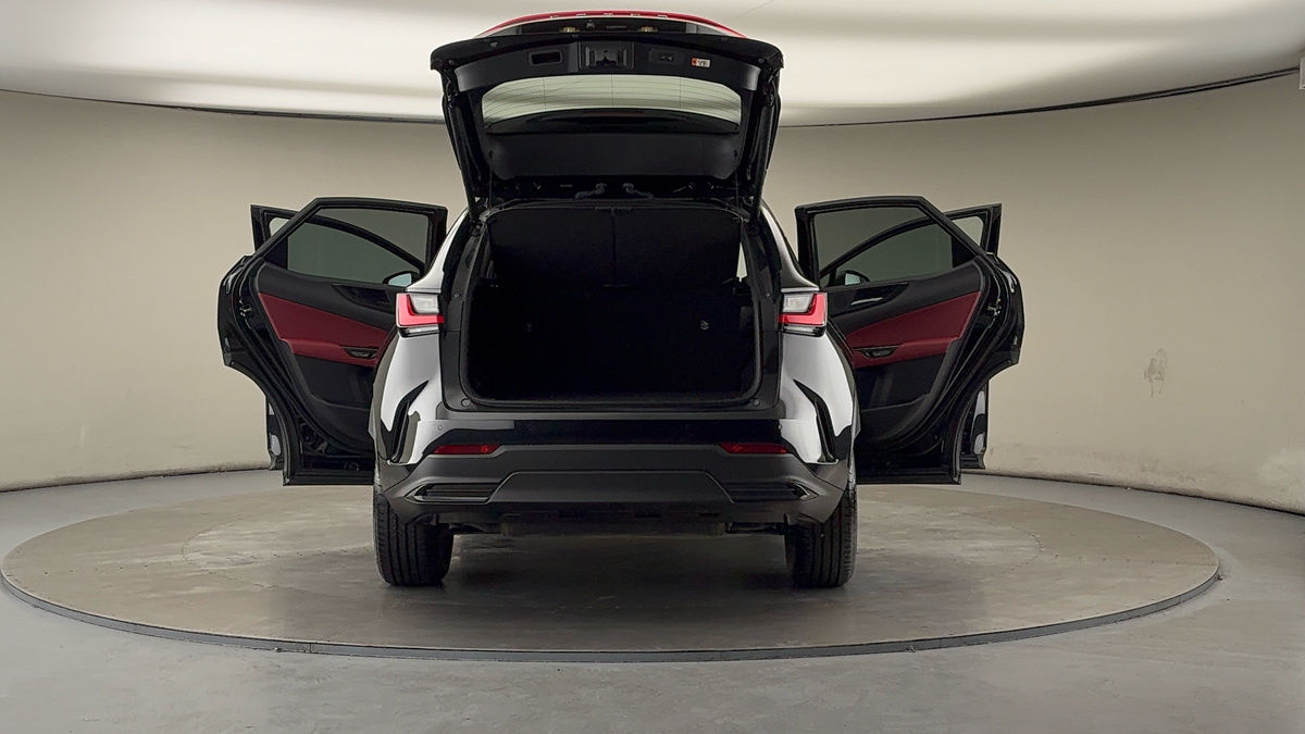 More views of Lexus NX