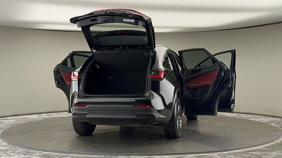 More views of Lexus NX