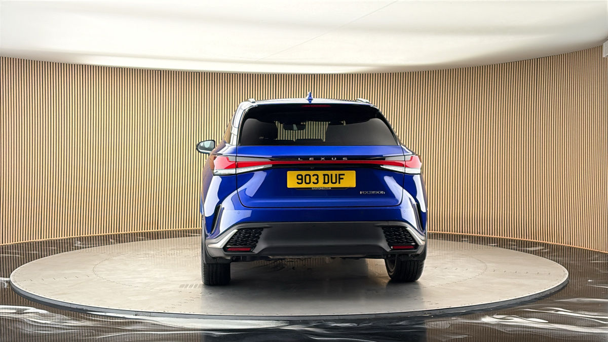 More views of Lexus RX