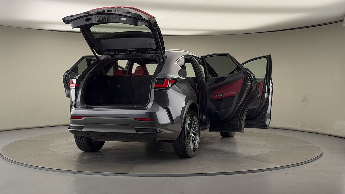 More views of Lexus NX