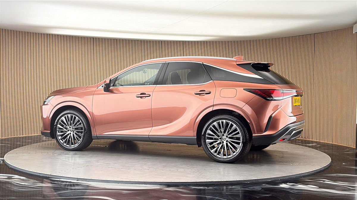 More views of Lexus RX
