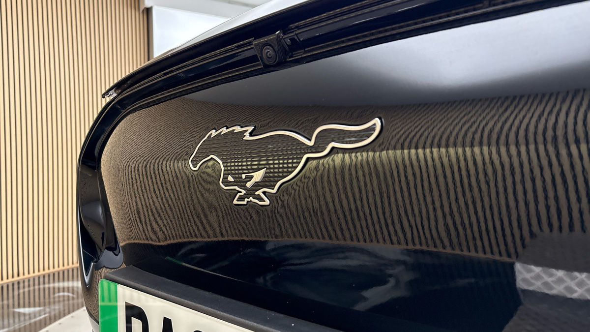 Ford Mustang Mach-E Image 24