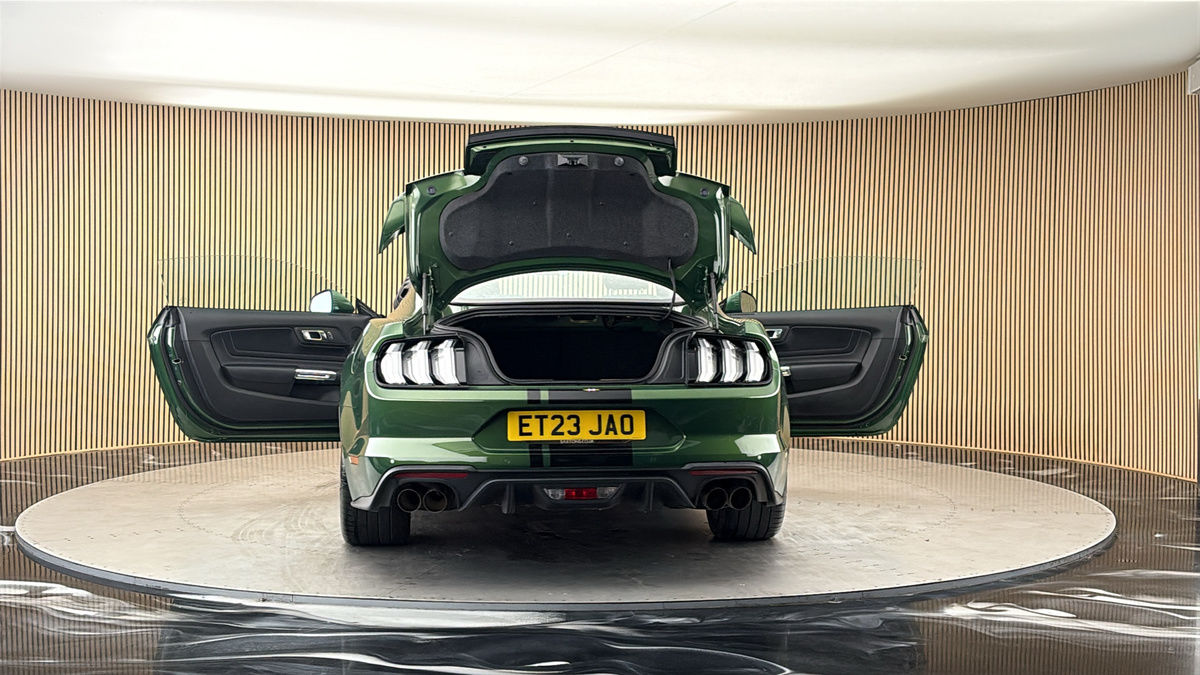 More views of Ford Mustang