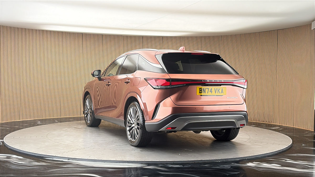 More views of Lexus RX