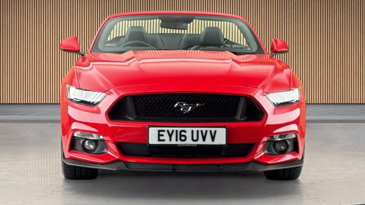 Ford Mustang Image 3