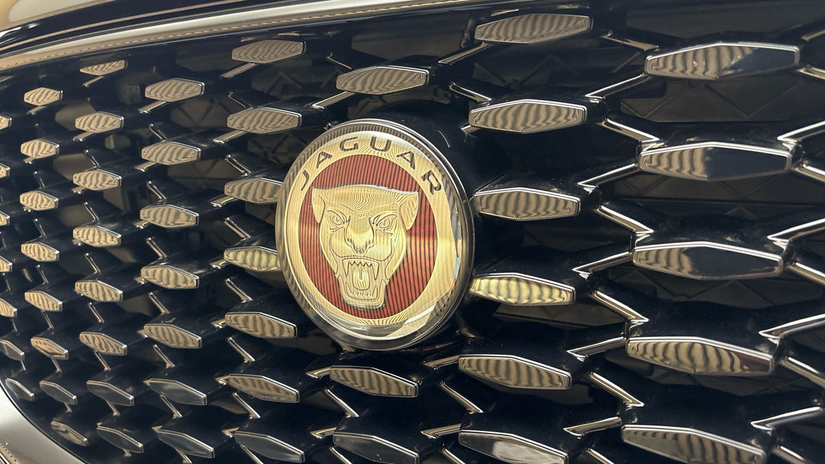 Jaguar F-PACE Image 24