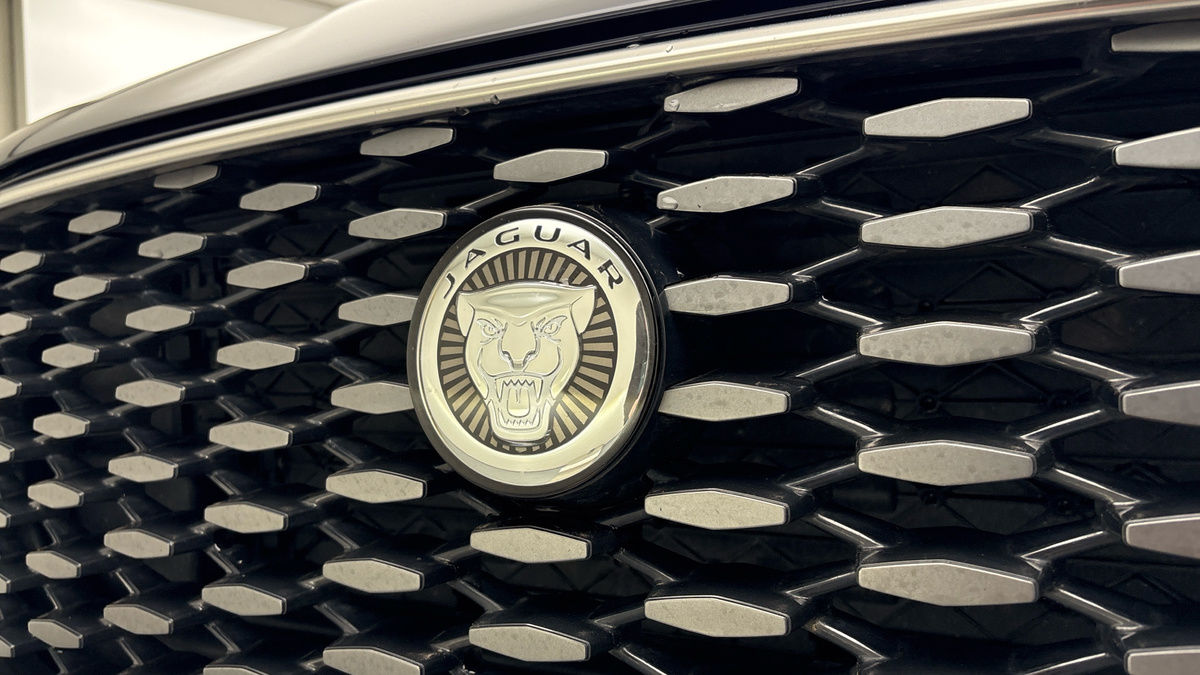 Jaguar F-PACE Image 24