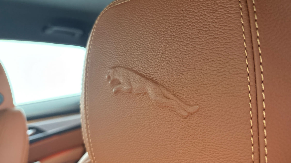 Jaguar F-PACE Image 6