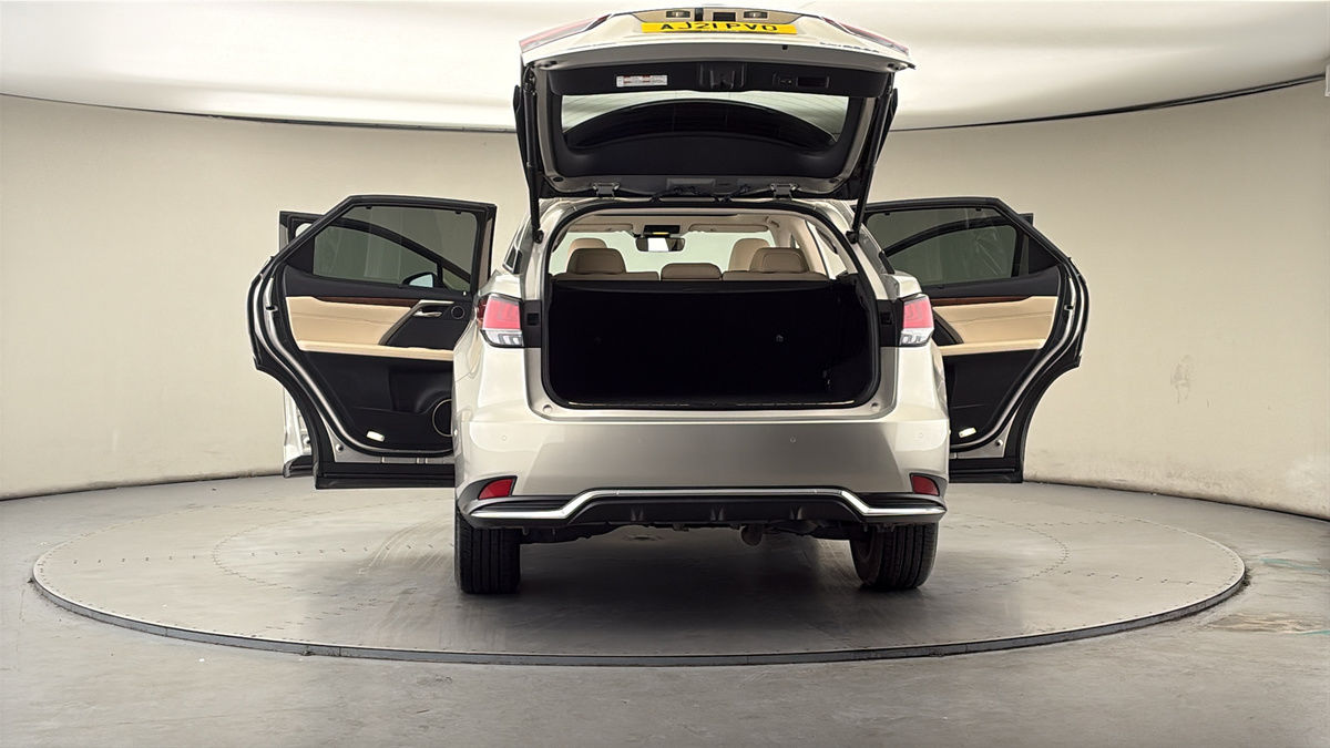 More views of Lexus RX