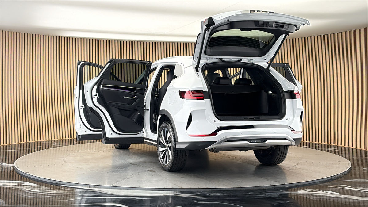 More views of BYD Seal U