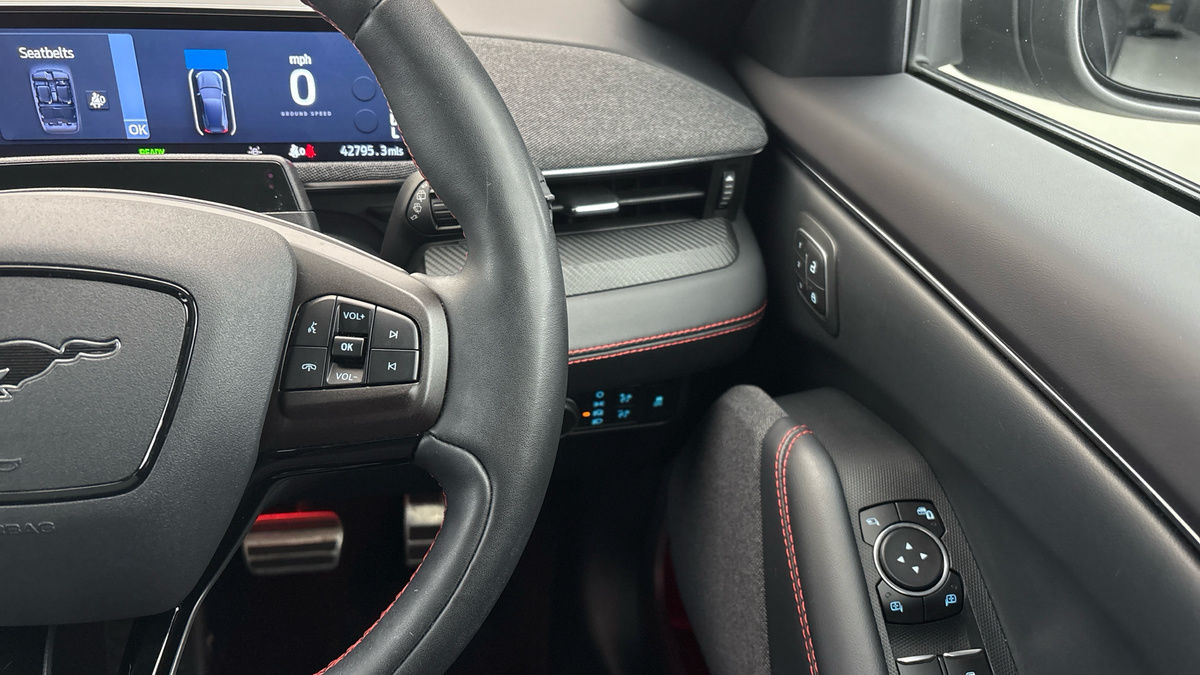 Ford Mustang Mach-E Image 14