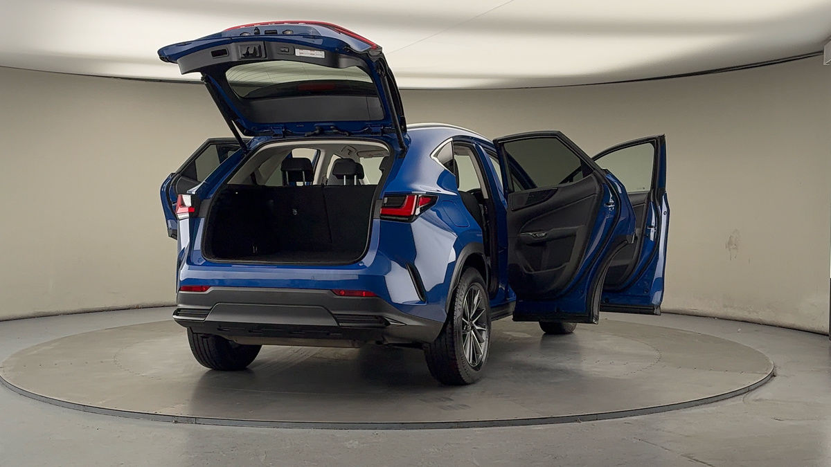 More views of Lexus NX