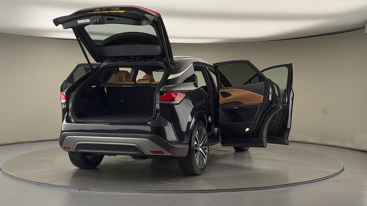 More views of Lexus RX