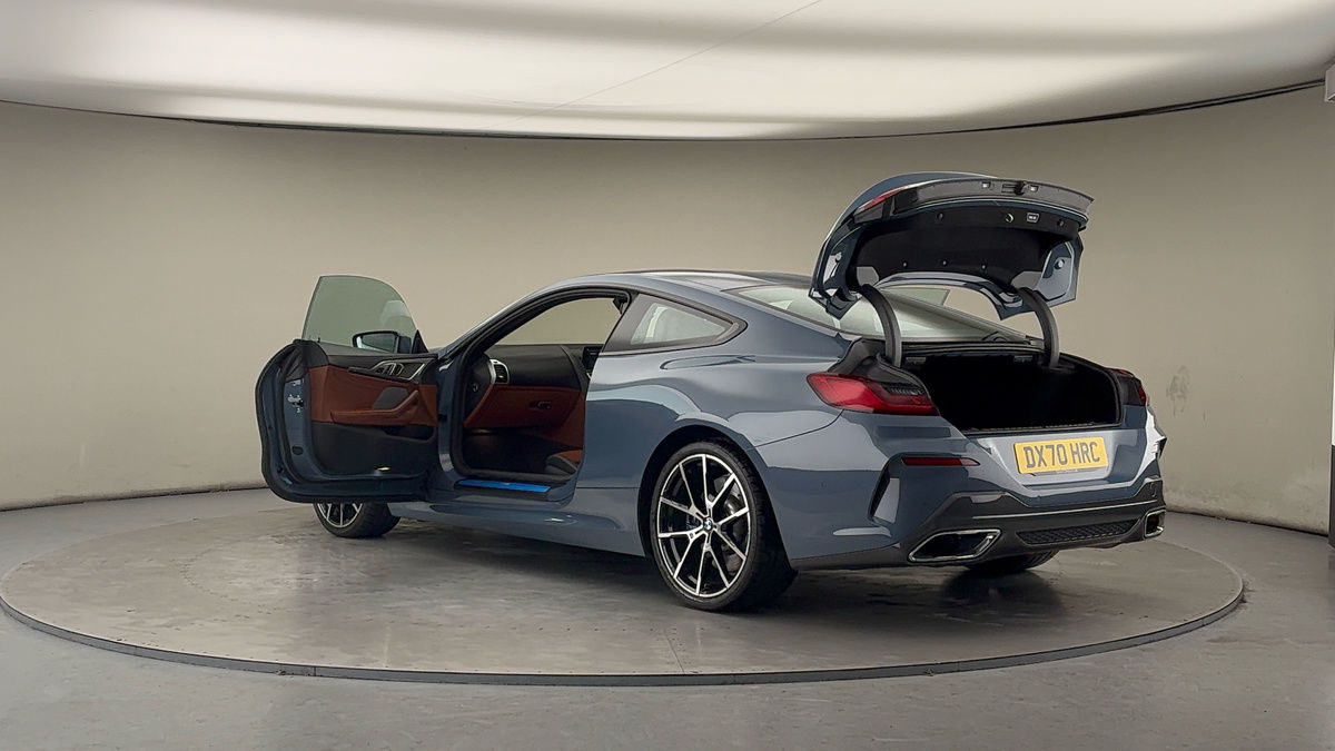 More views of BMW 8 Series