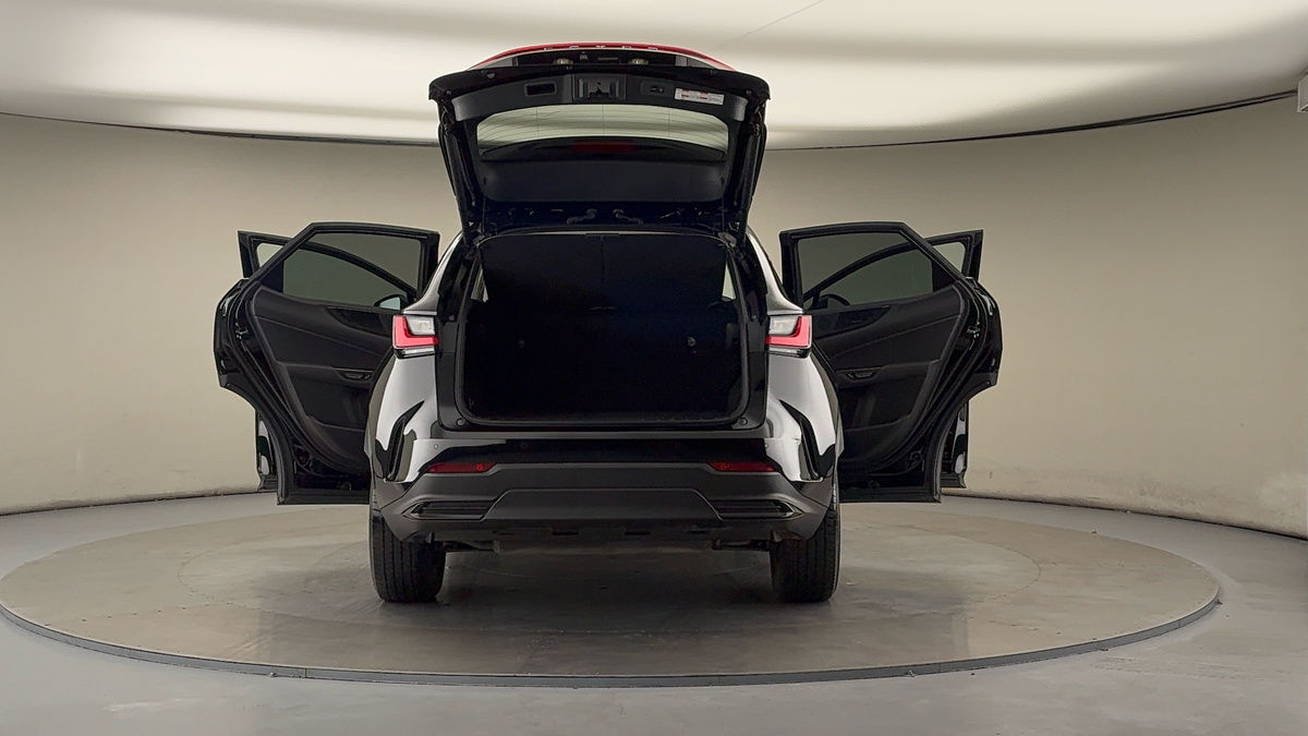 More views of Lexus NX