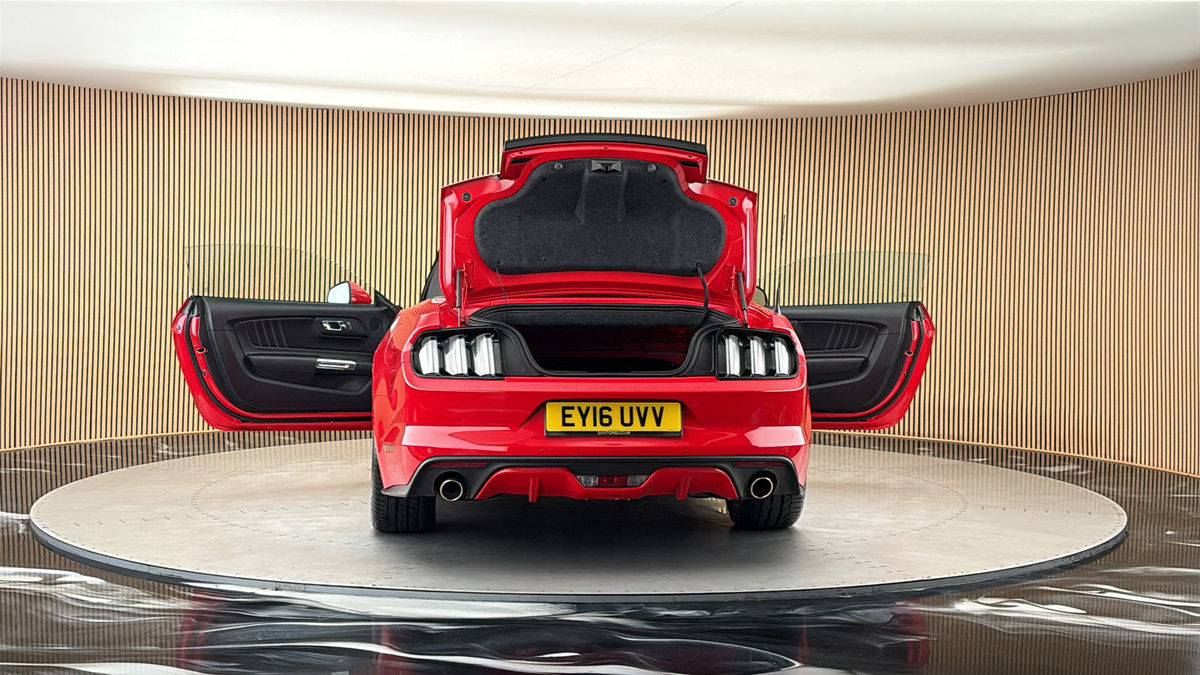 More views of Ford Mustang