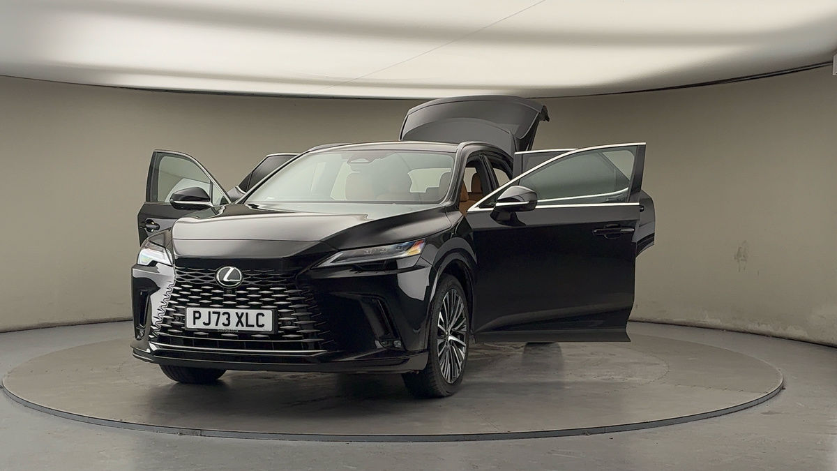 More views of Lexus RX