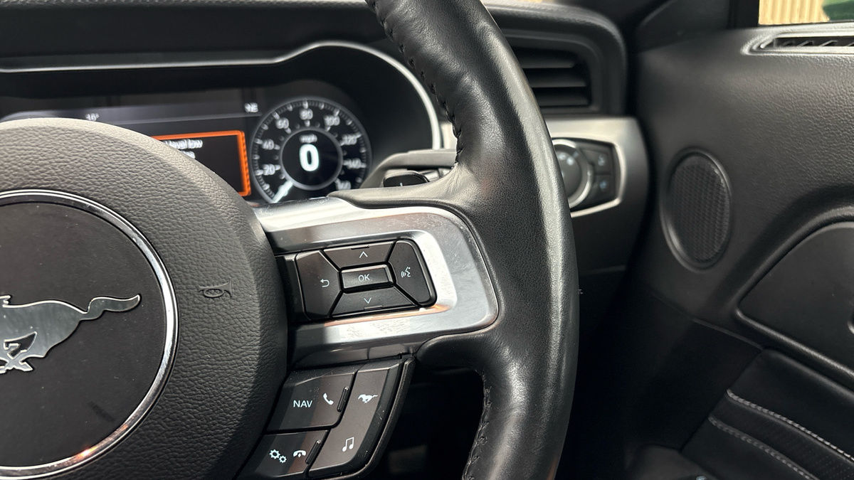 Ford Mustang Image 14