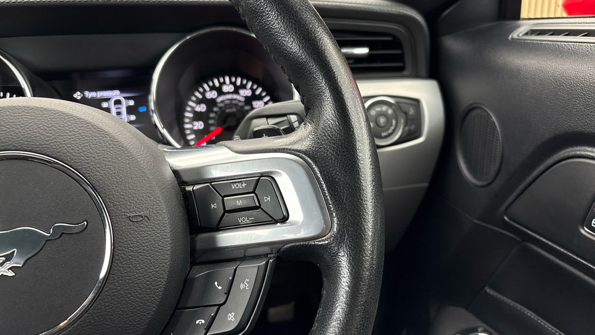 Ford Mustang Image 14