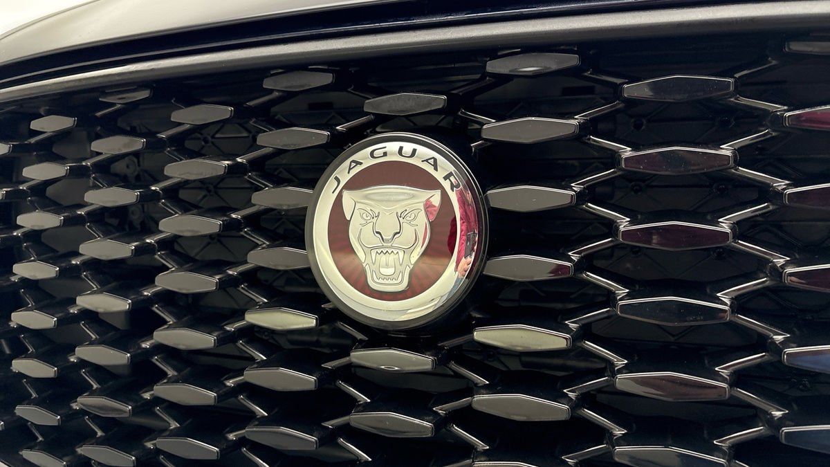 Jaguar F-PACE Image 24