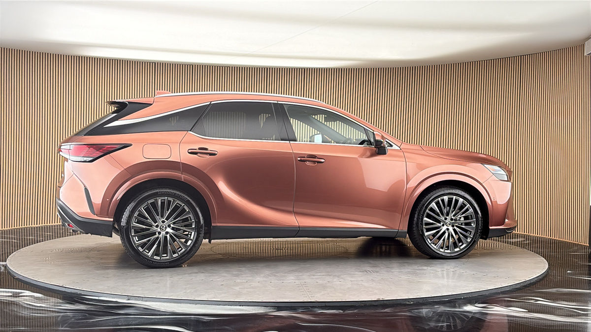 More views of Lexus RX