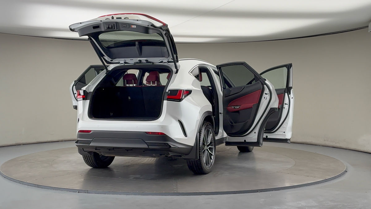 More views of Lexus NX