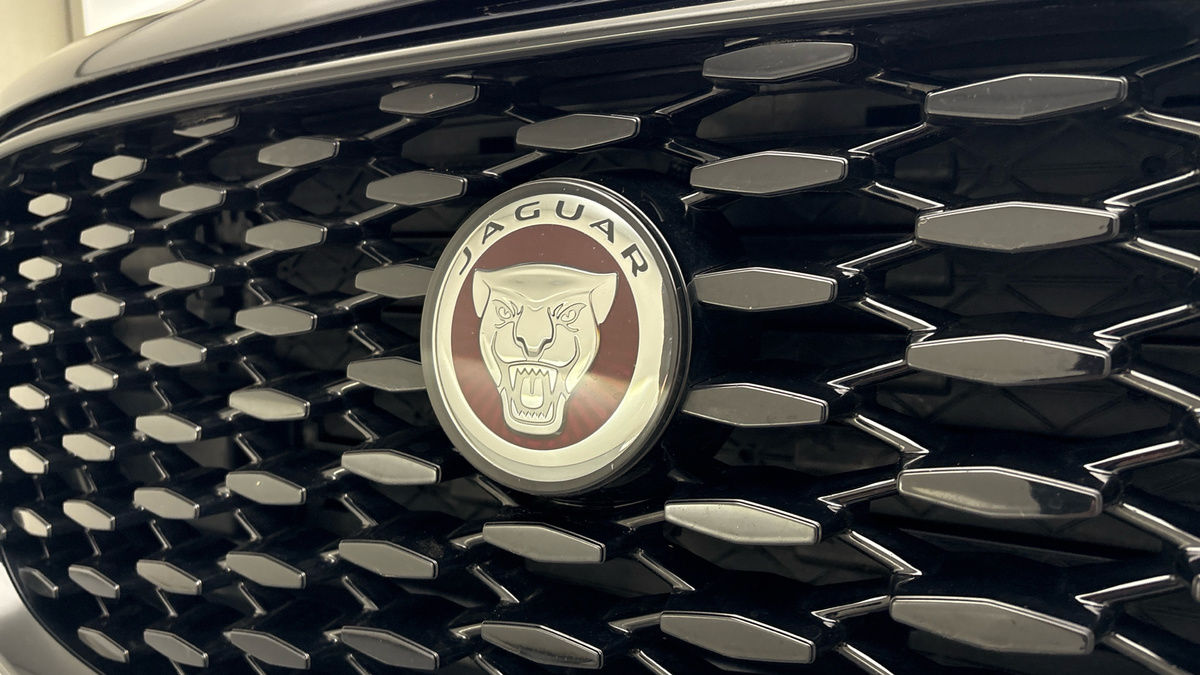 Jaguar F-PACE Image 24