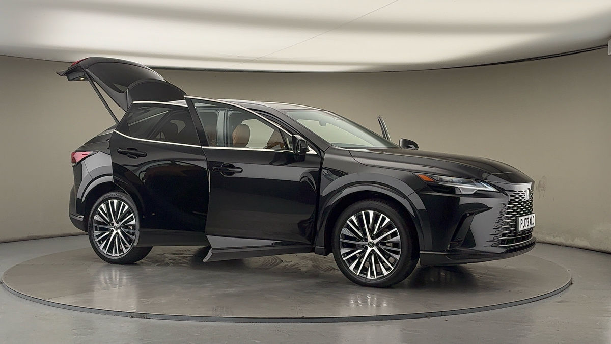 More views of Lexus RX