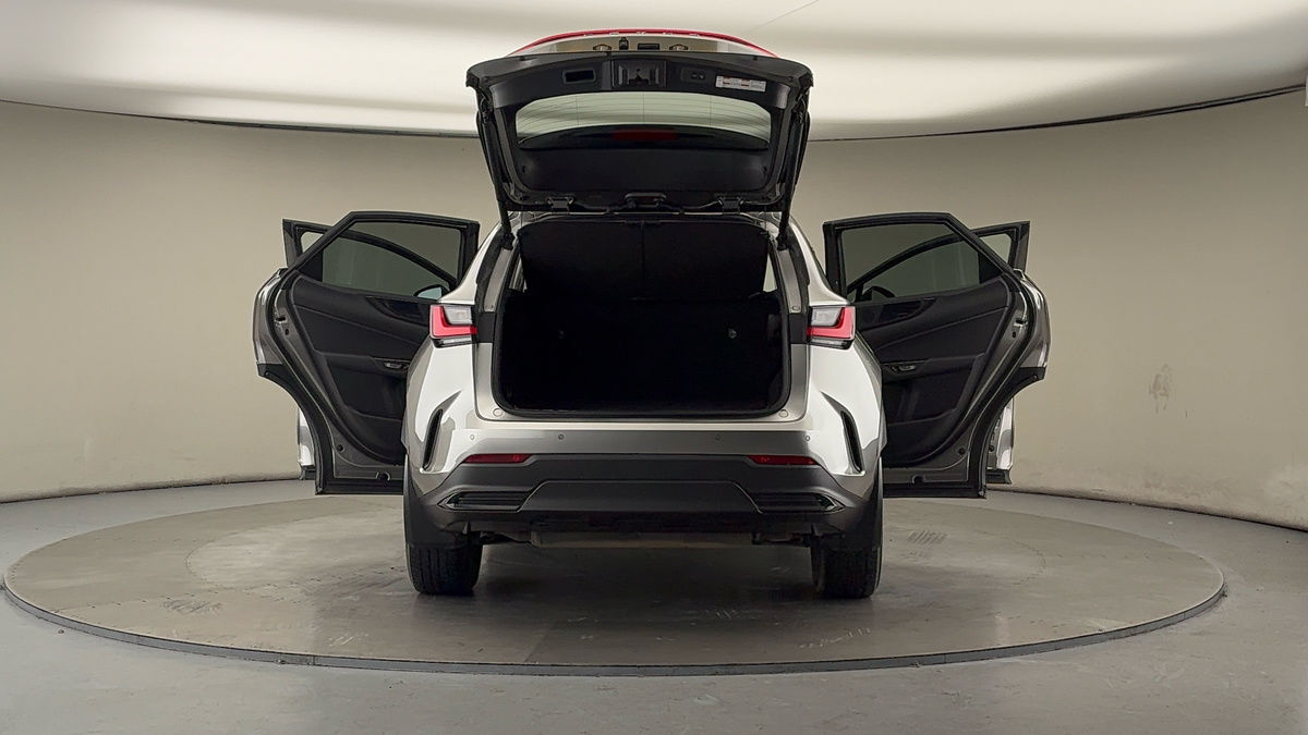 More views of Lexus NX