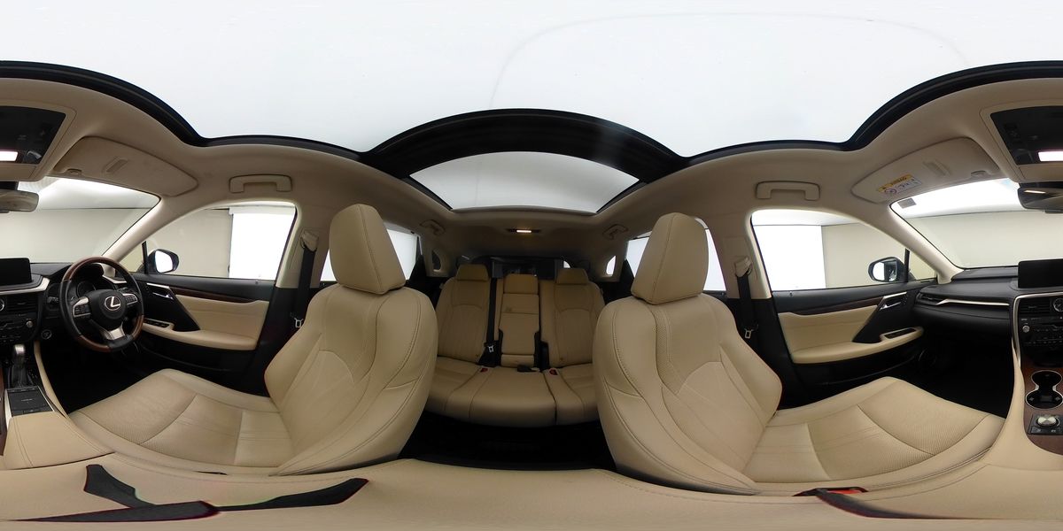 More views of Lexus RX