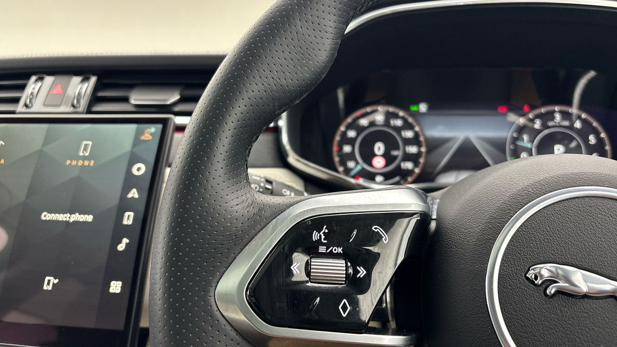 Jaguar F-PACE Image 13