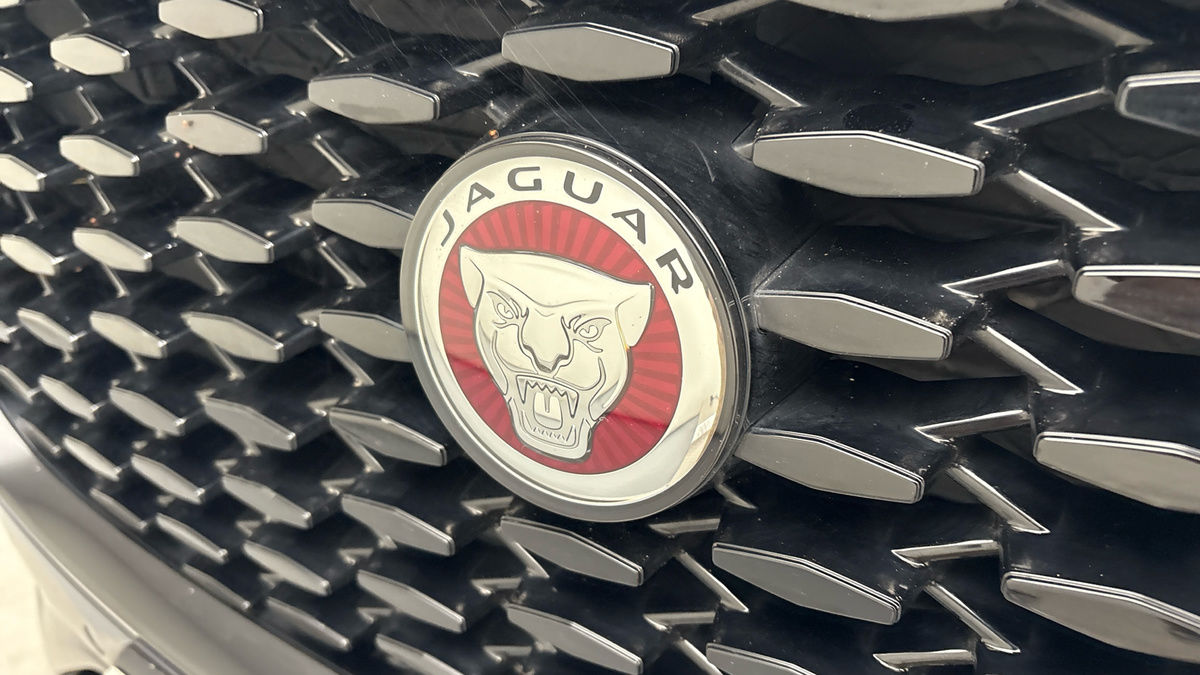 Jaguar F-PACE Image 24