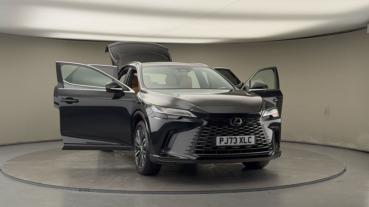 More views of Lexus RX