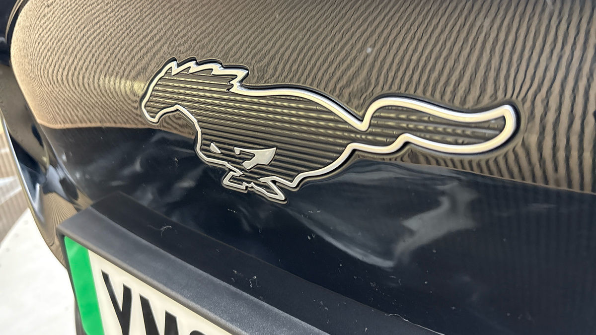 Ford Mustang Mach-E Image 25